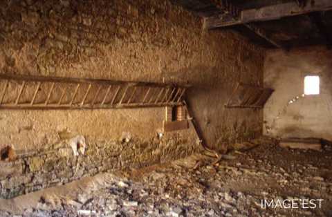 Sous-sol de l'ancienne halle (Portieux)